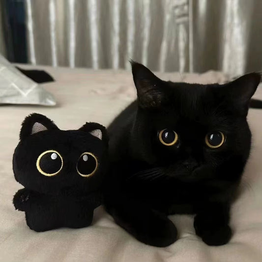 10Cm Cute Black Cat Plush Toy Doll Small Pendant Cuddly Pillow Cushion Ins Black Cat Plush Toy Doll for Boy Girl Brithday Gifts